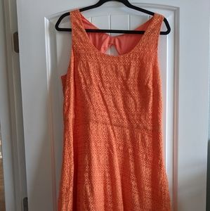 Donna Morgan 16 lace dress